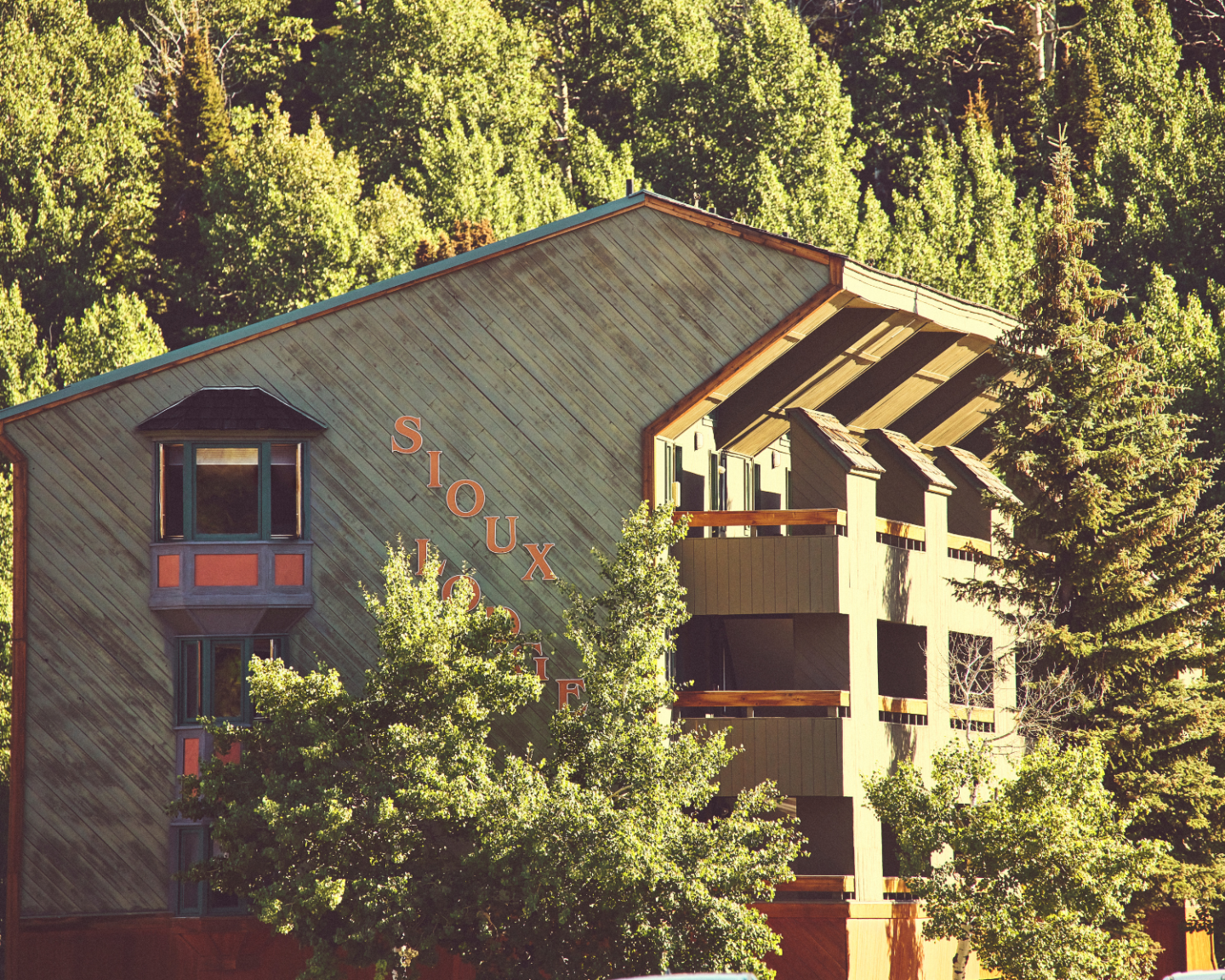 Lodge surrounded by dense green trees in sunlight.