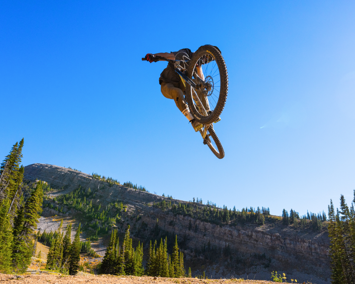Mountain biker mid-air against blue sky and pine trees.