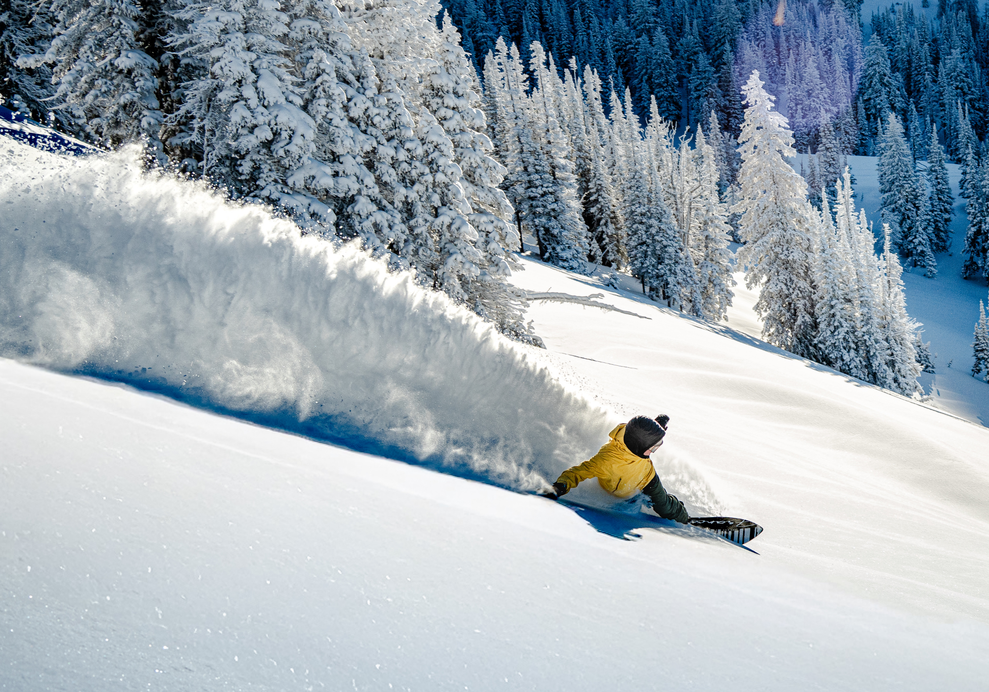 Snowboarder carving through fresh powder on a sunlit snowy slope.