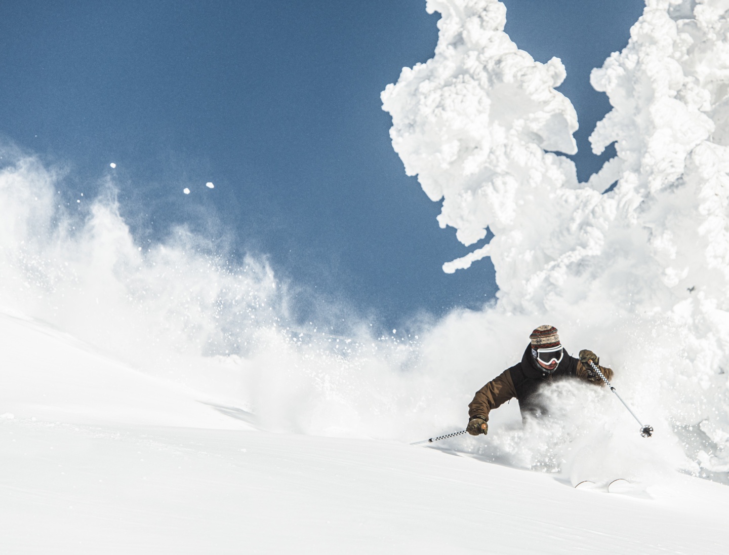 Skier in powder