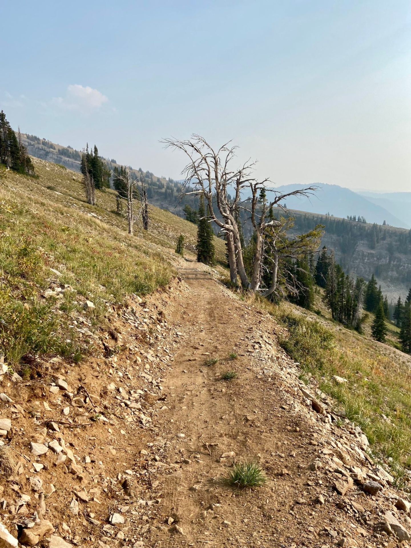 A view of Nice Marmot trail