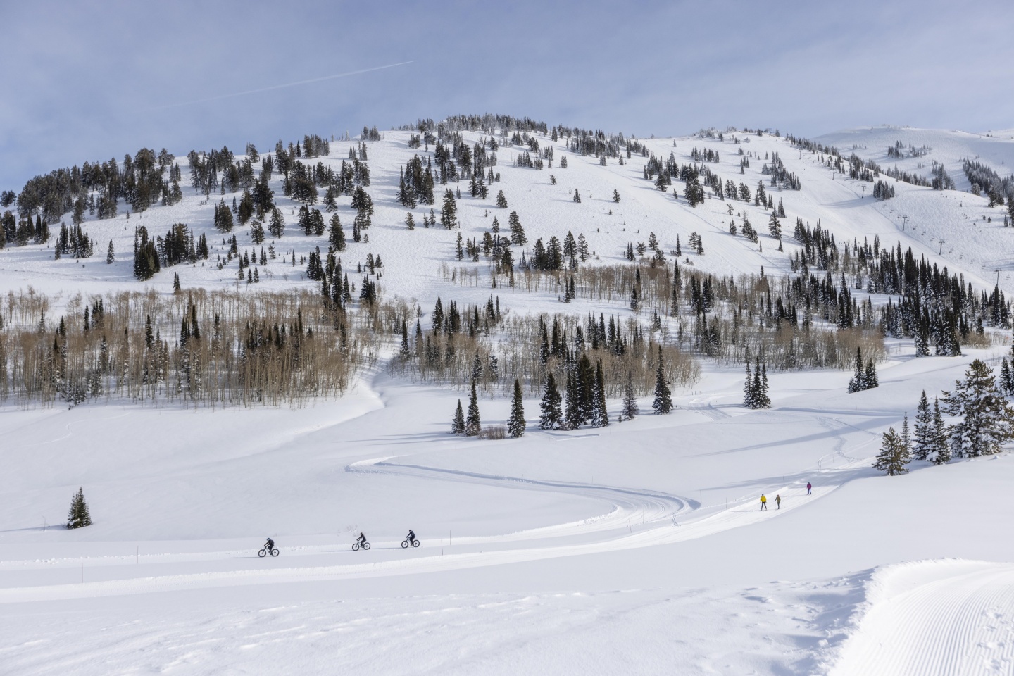 Bikers and nordic skiiers use a winter resort trail
