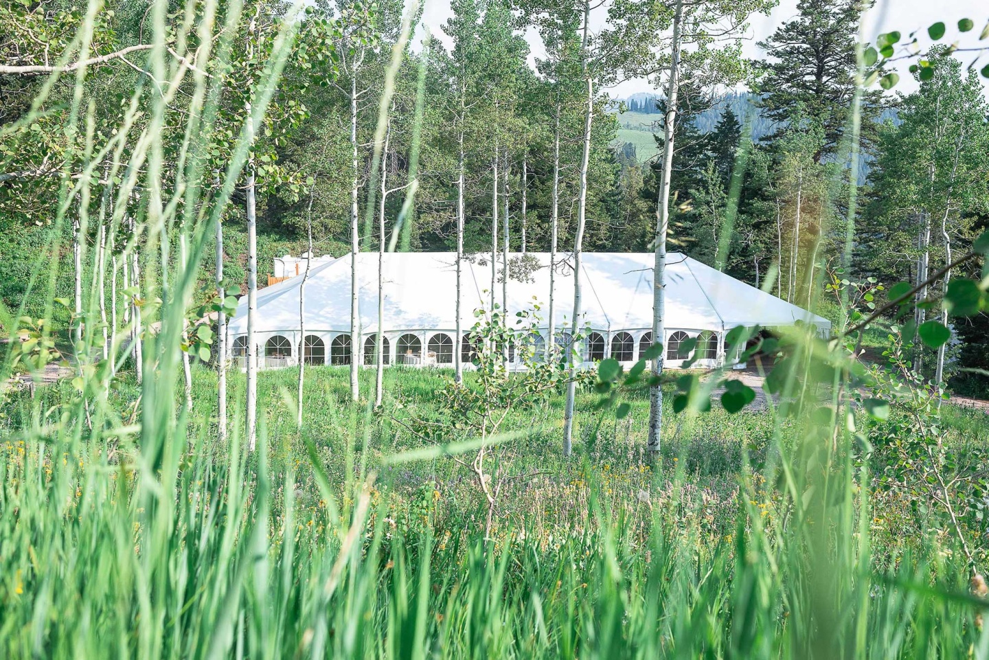 wedding tent in forest