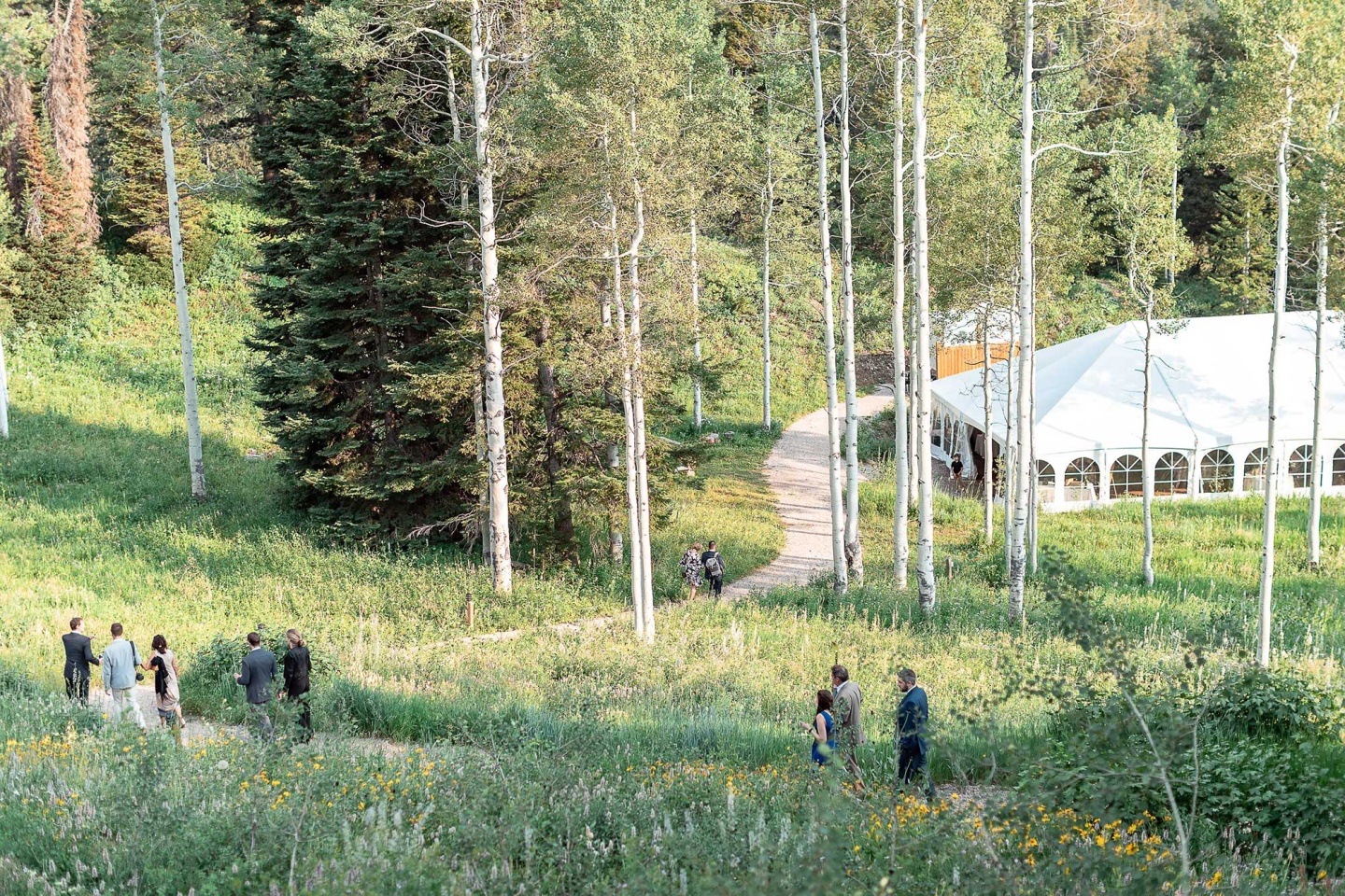 Wedding tent in forest