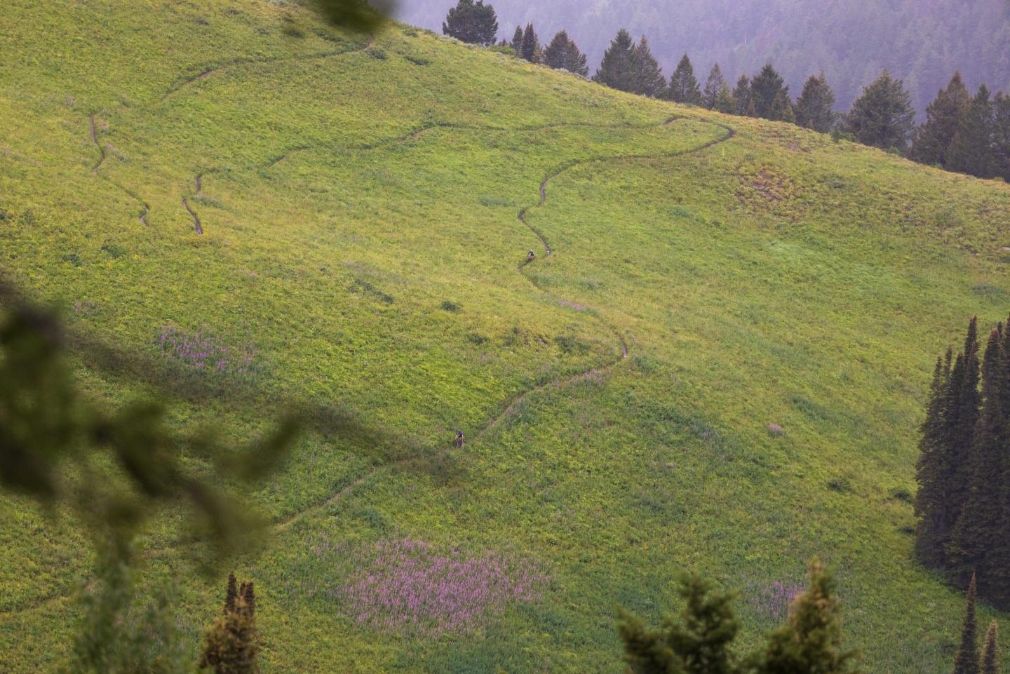 Race photo from Pierres Hole, Grand Targhee 2022