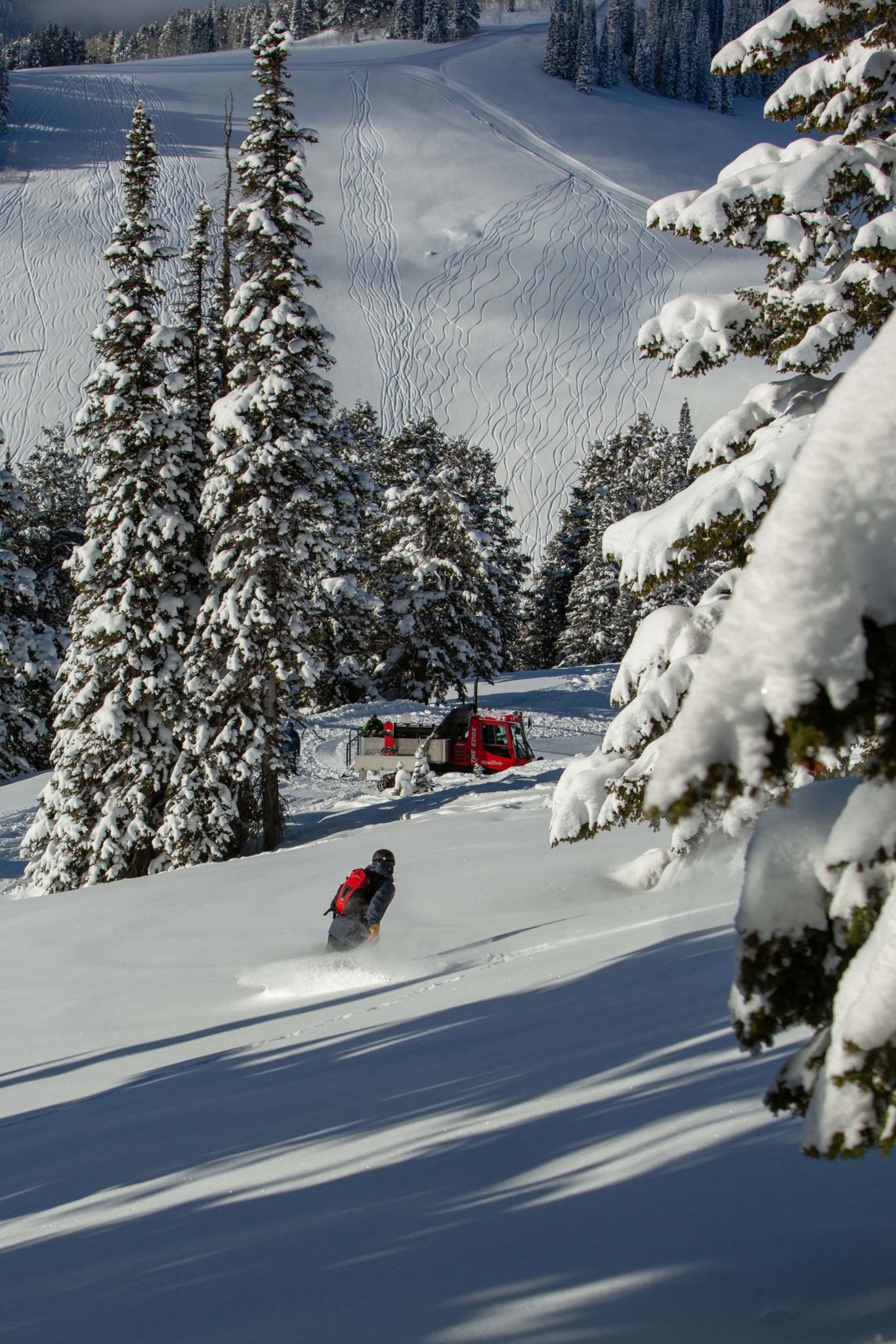 A snowboarder on a mountain