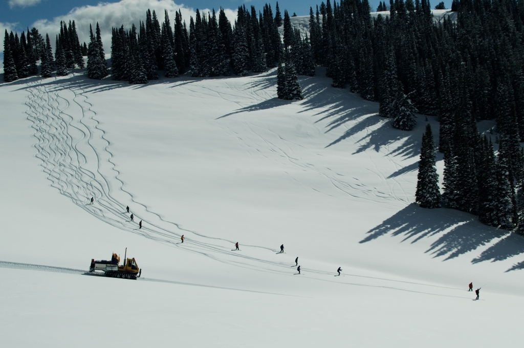 A group of cat skiers ski down a mountain