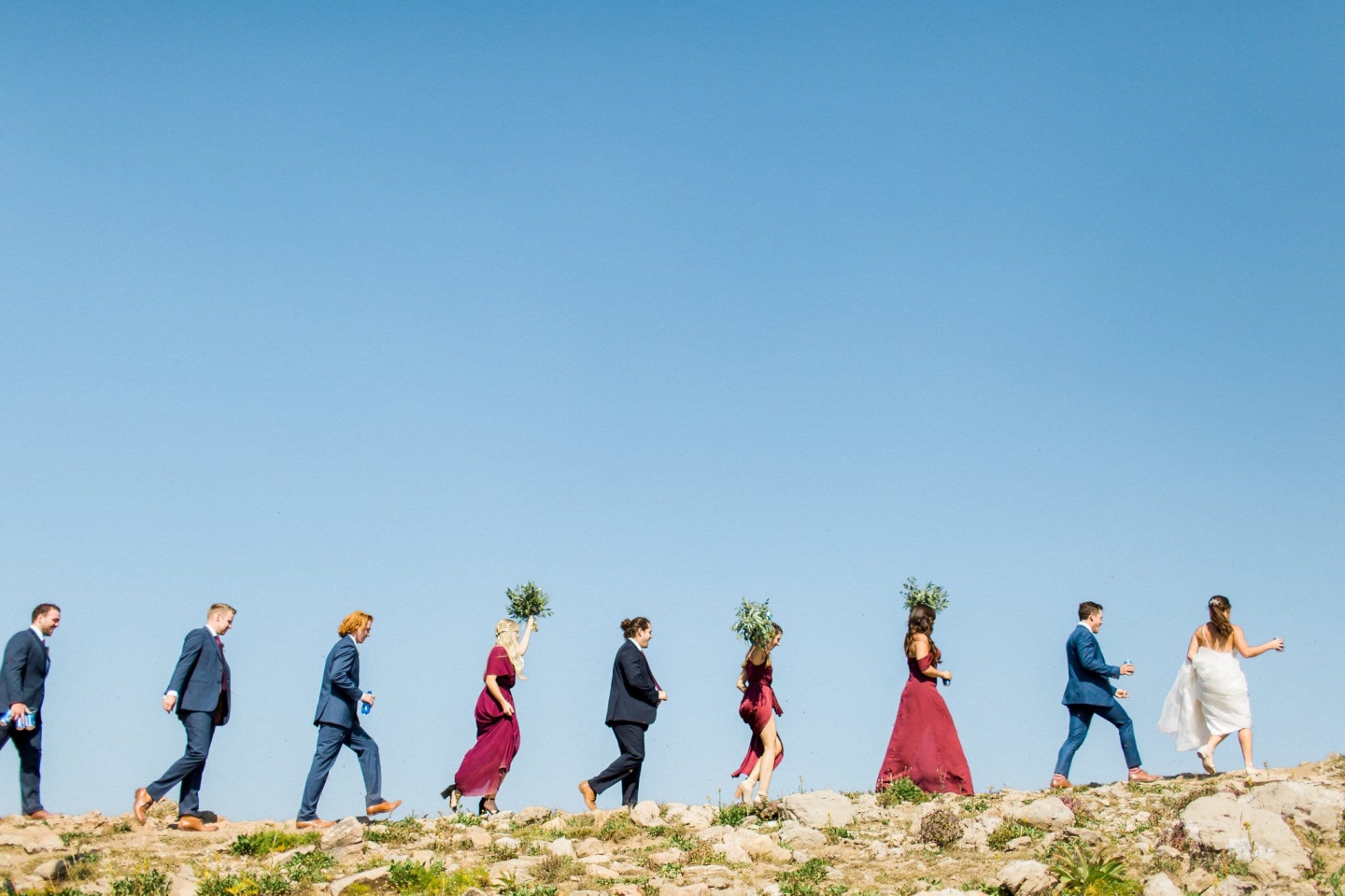 Bridal party on ridgeline