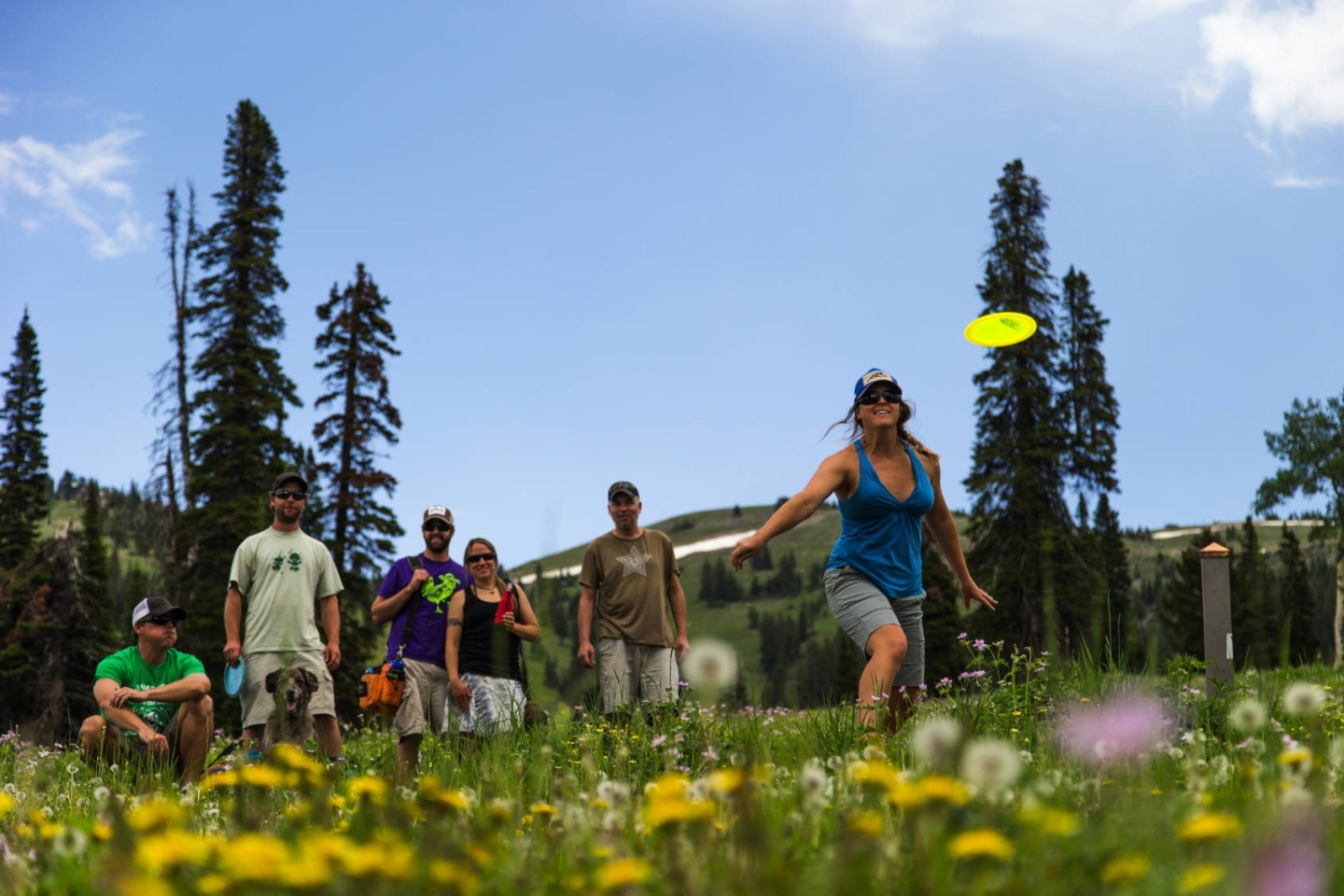 A group playing disc golf
