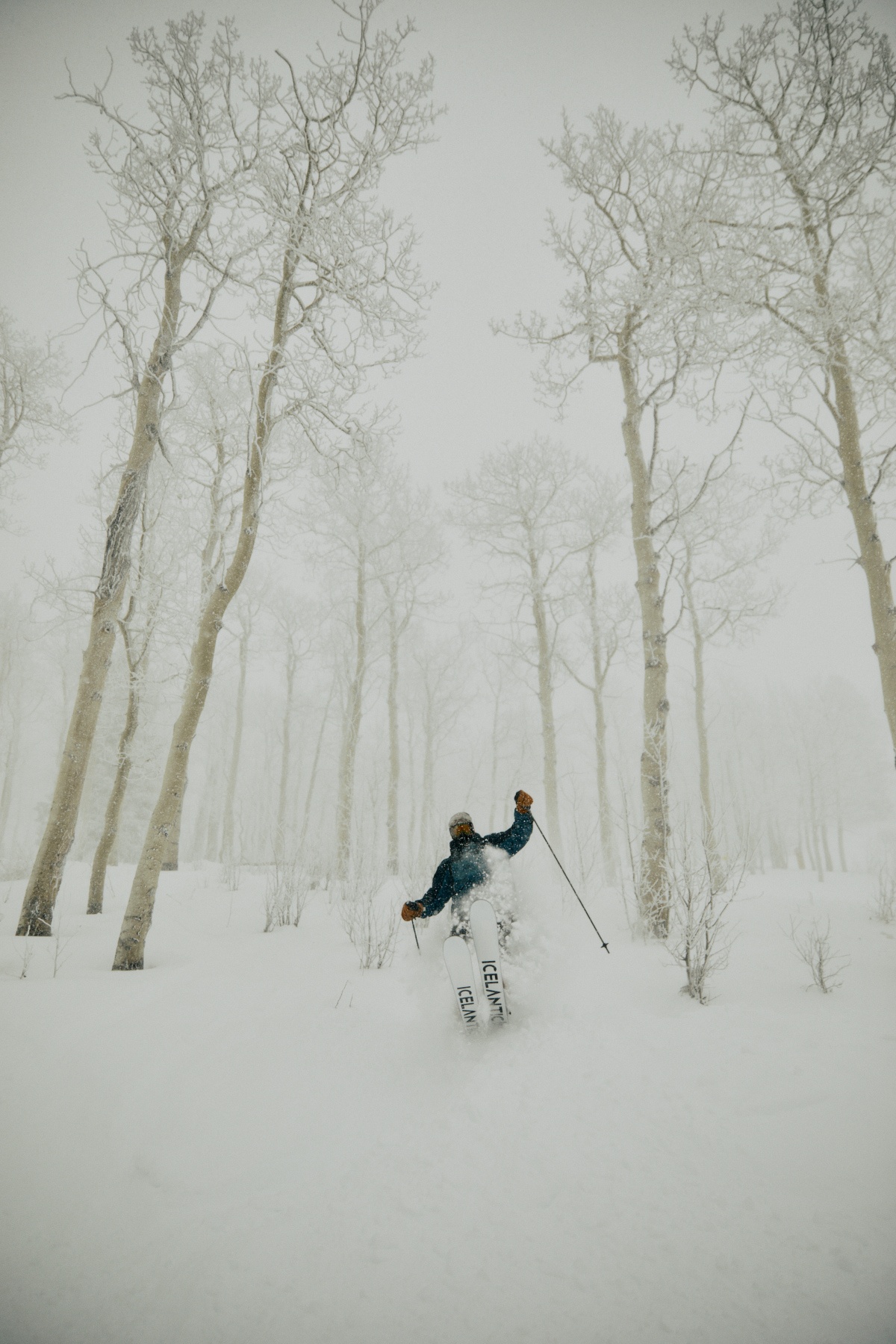 A skier riding through trees