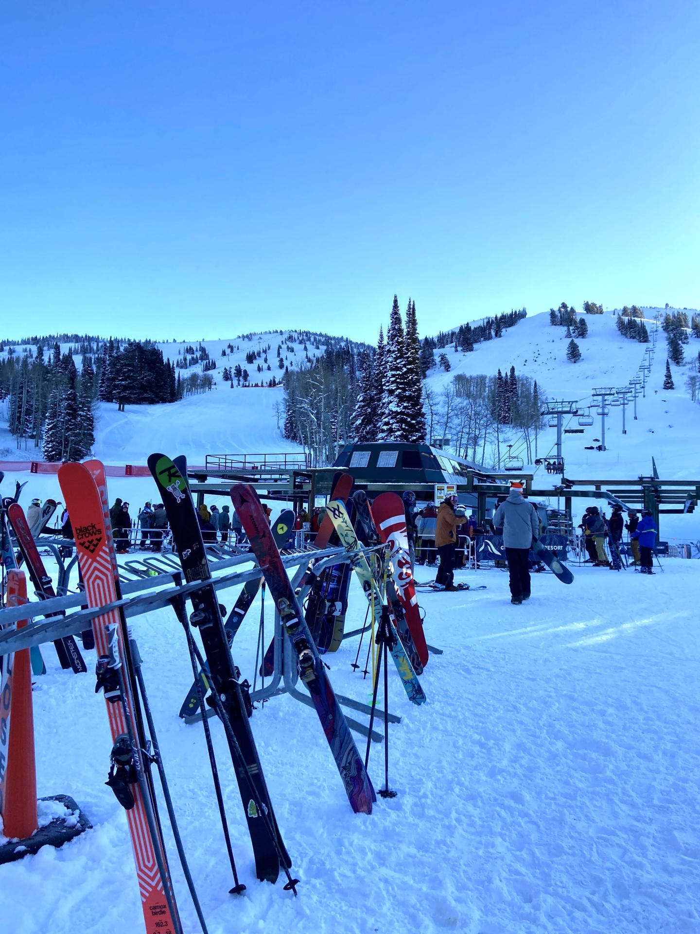 skis