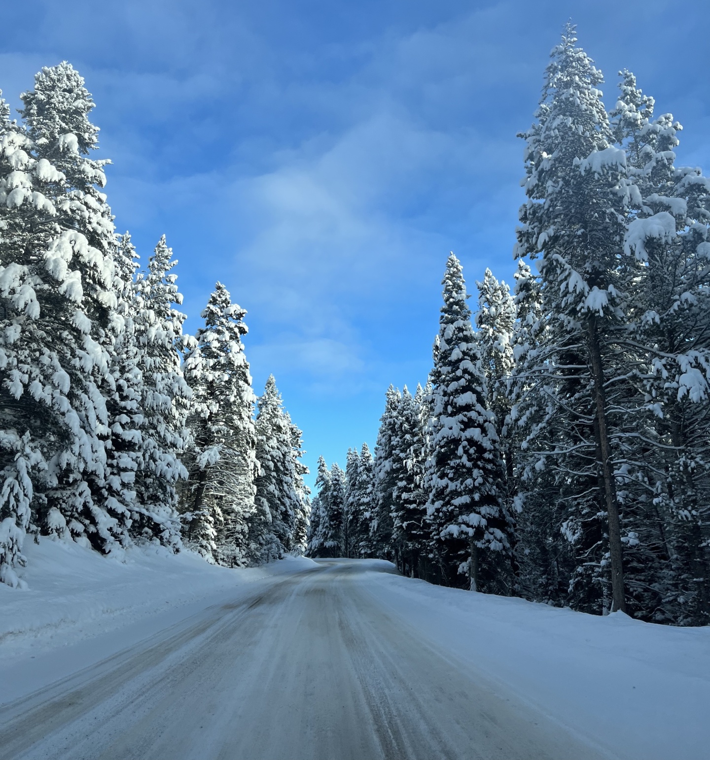 road conditions