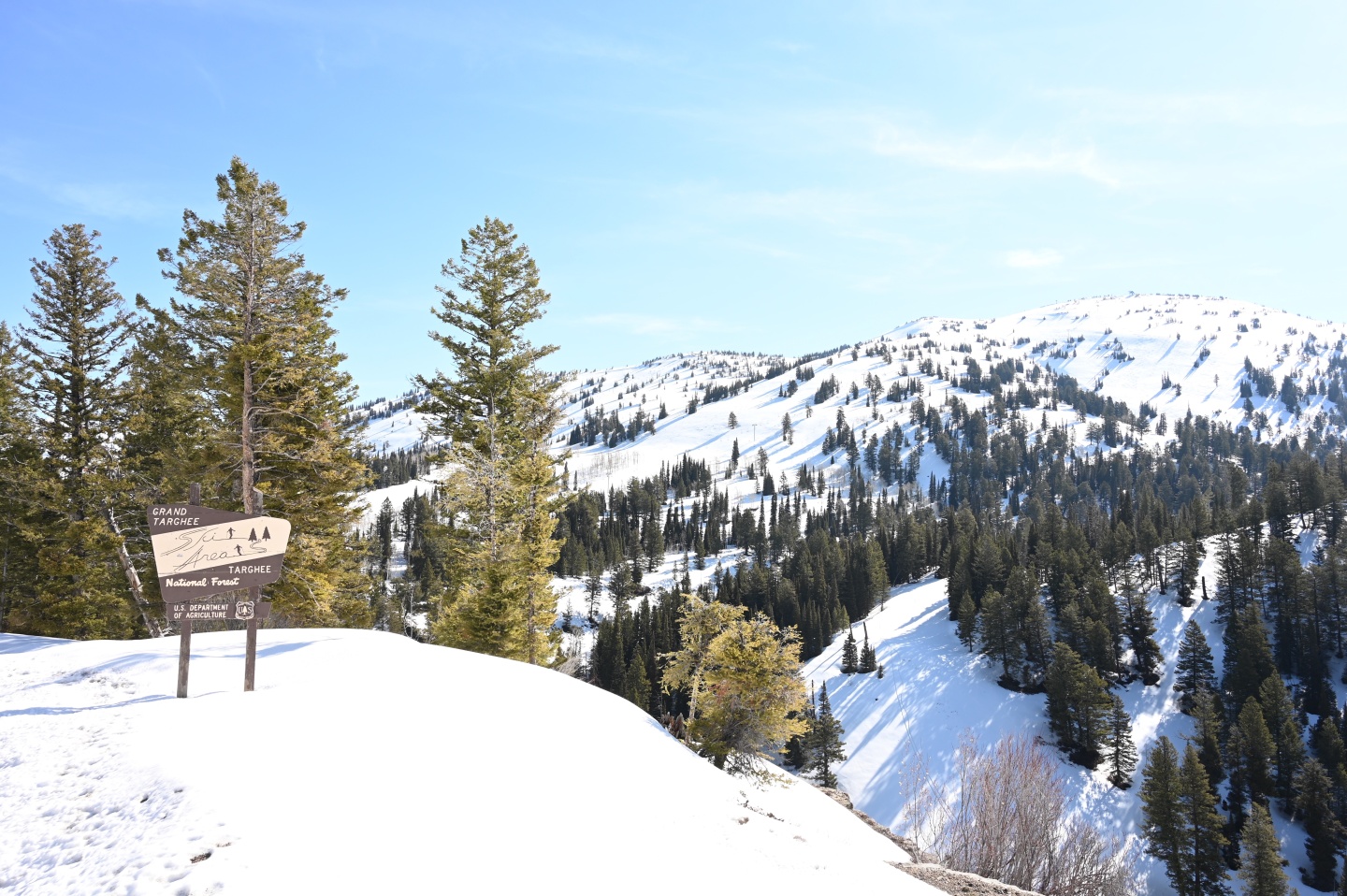 Targhee Opening day