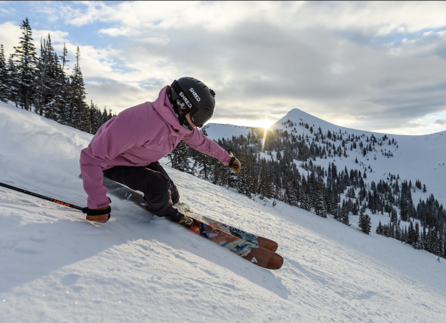 skier