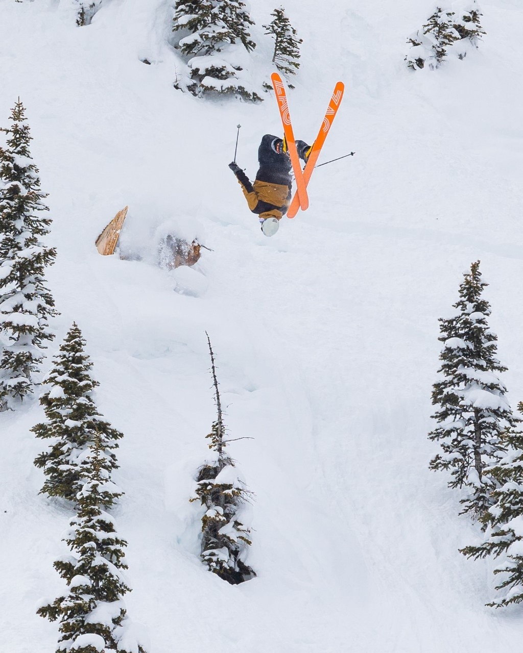 skier