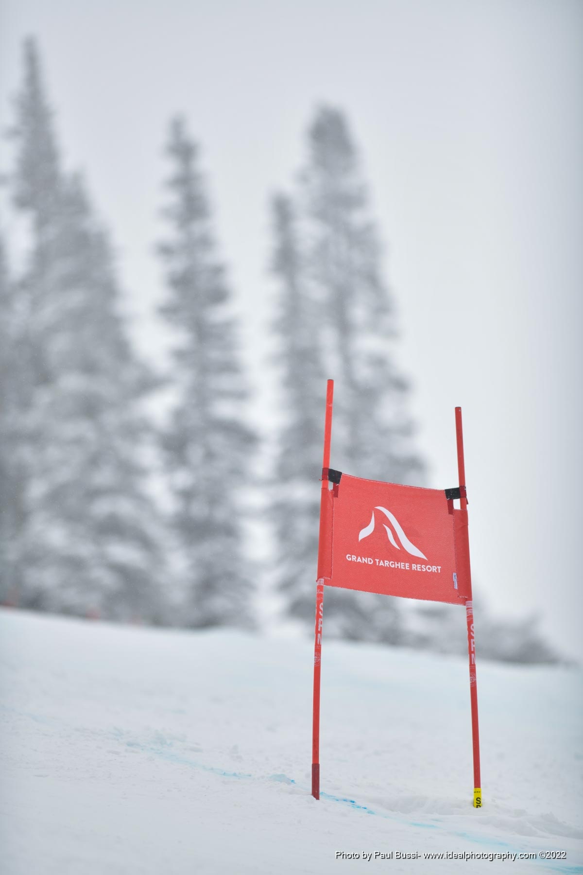 Race Day at Targhee