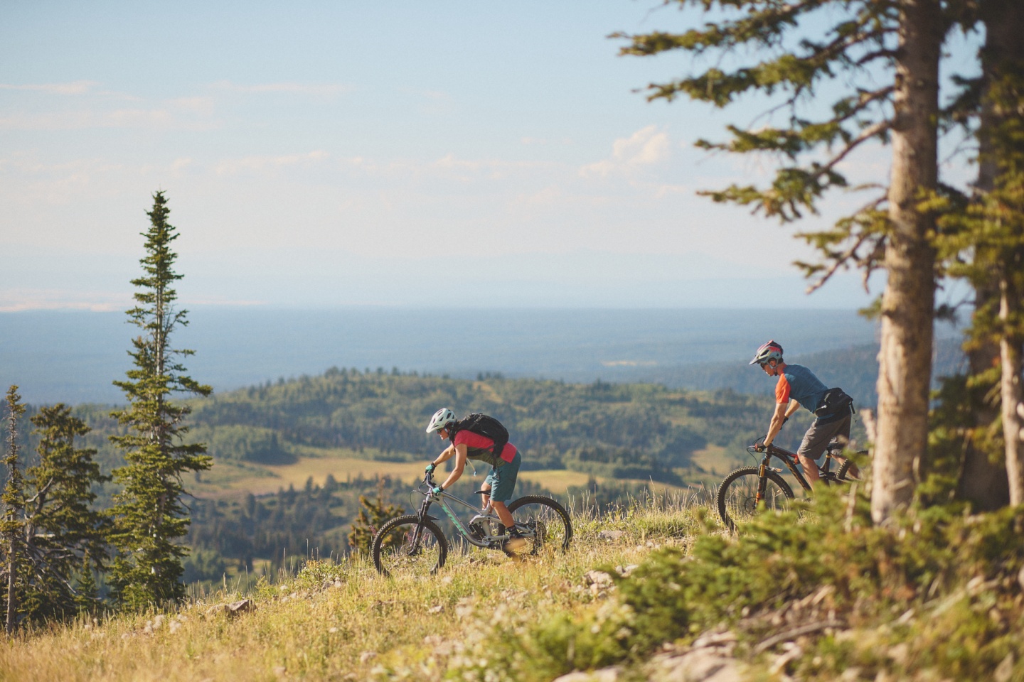 Two people biking on a mountain