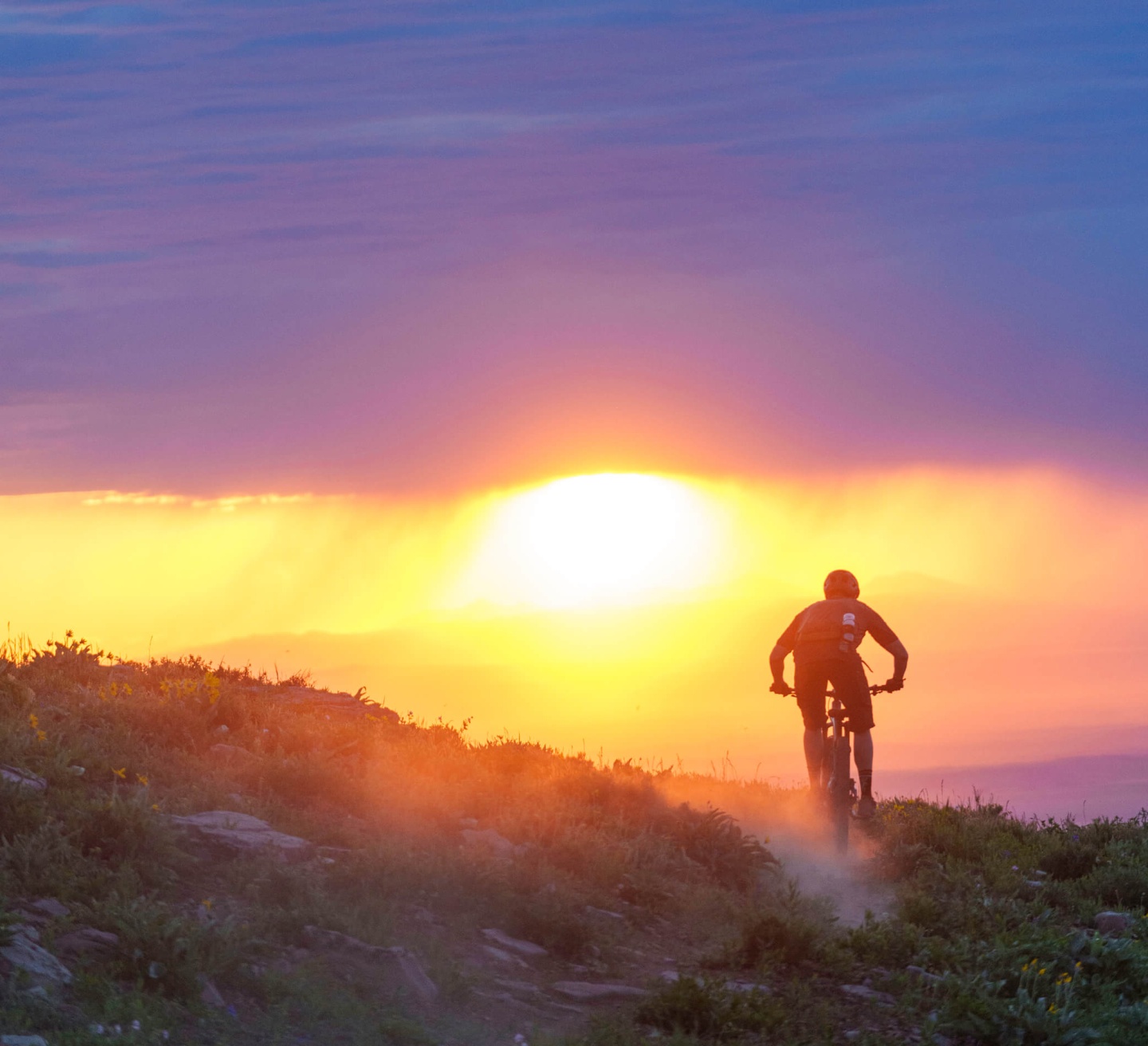 Mountain biker at sunset