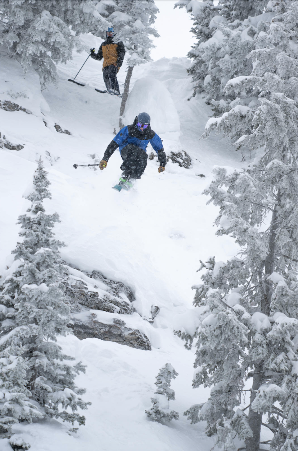 Freeride