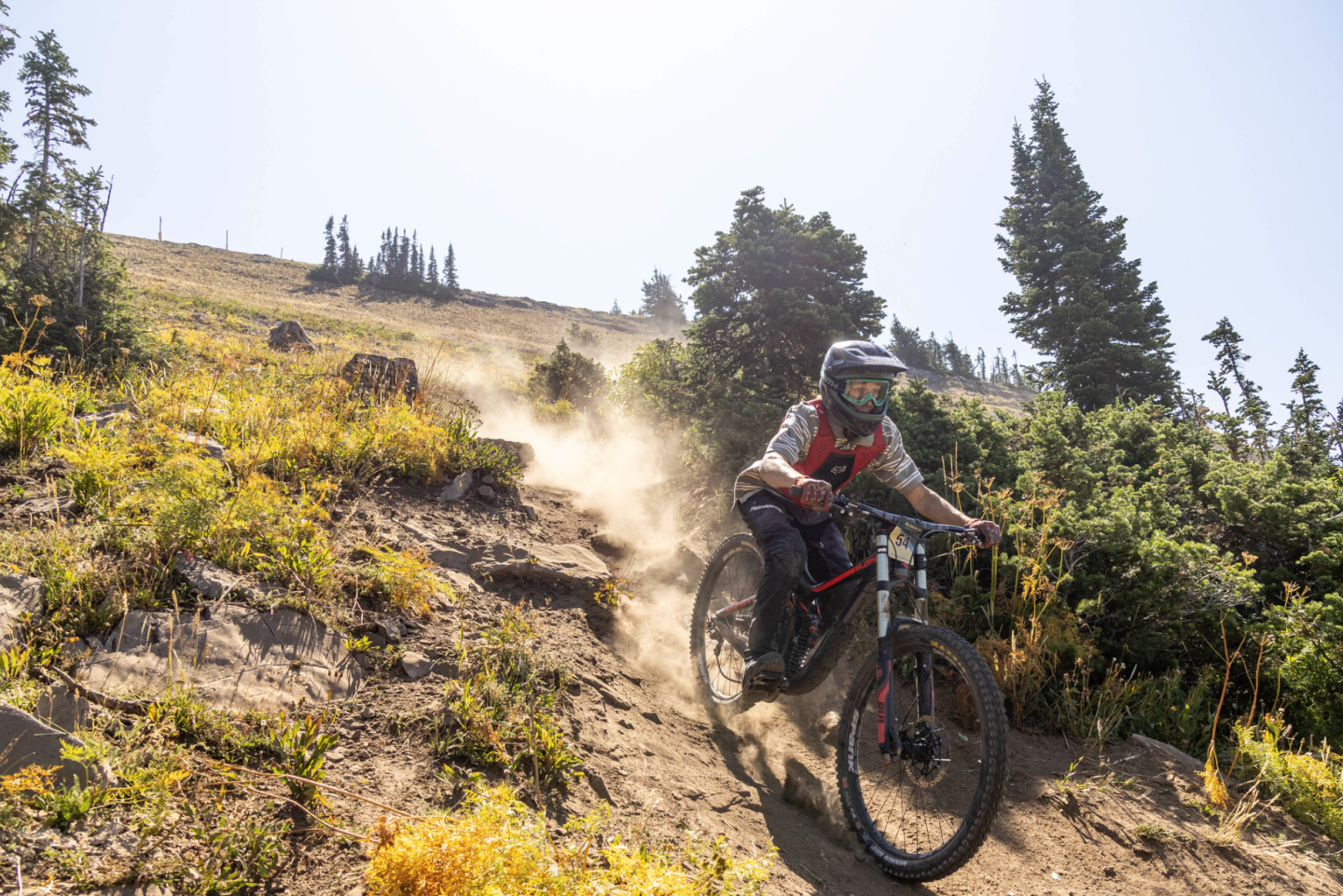 Mountain biker rides downhill on a dirt trail, surrounded by trees and dust.
