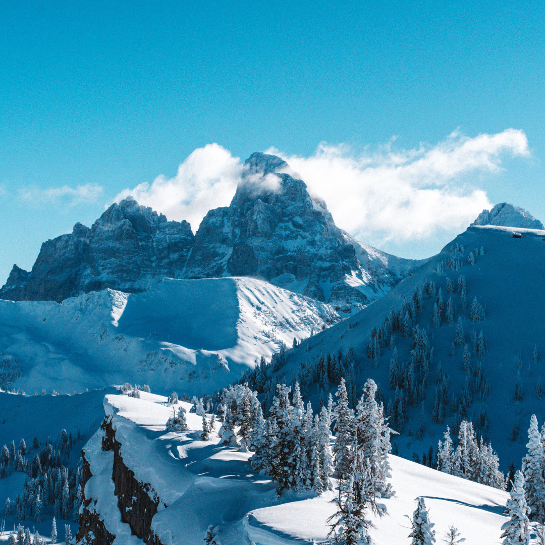 Snow-covered mountains with pine trees under a bright blue sky.