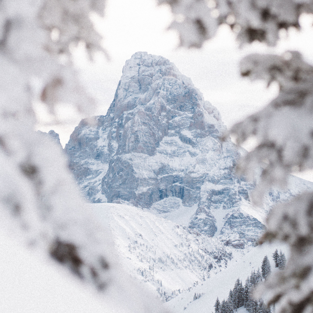 Snow-covered mountain peak framed by frosty tree branches.