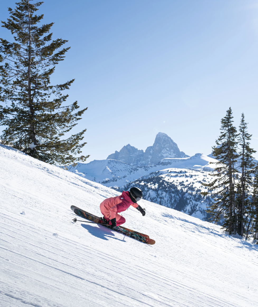 Skier in pink descending snowy slope, mountains and trees in background.