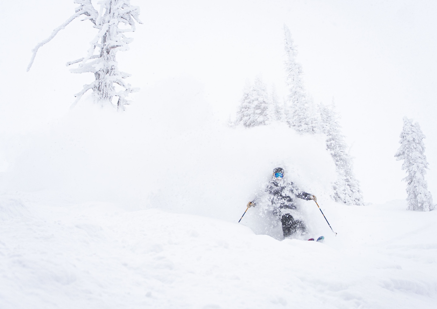 Skier in deep snow, surrounded by snow-covered trees.