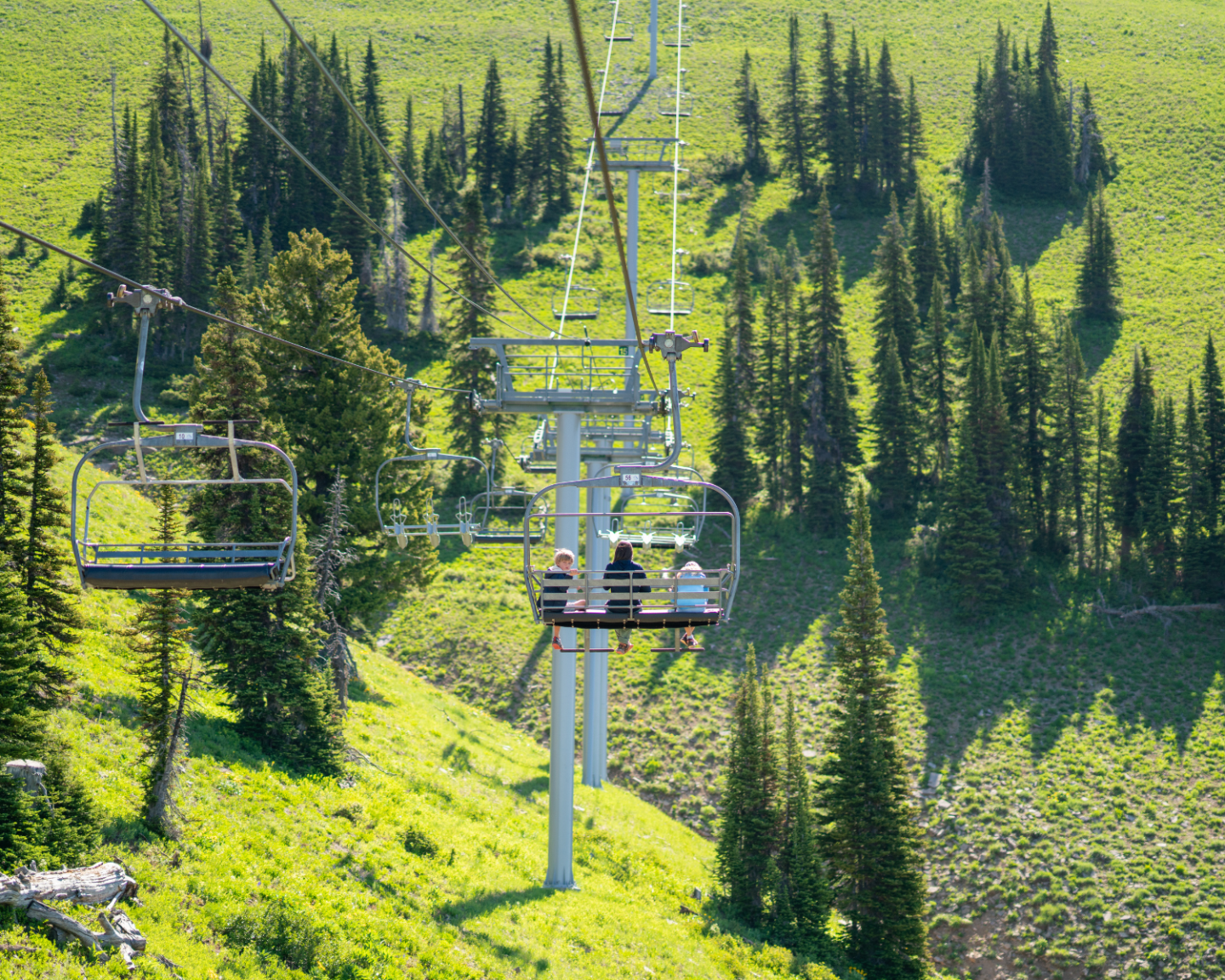 Ski lift over green hillside with pine trees.