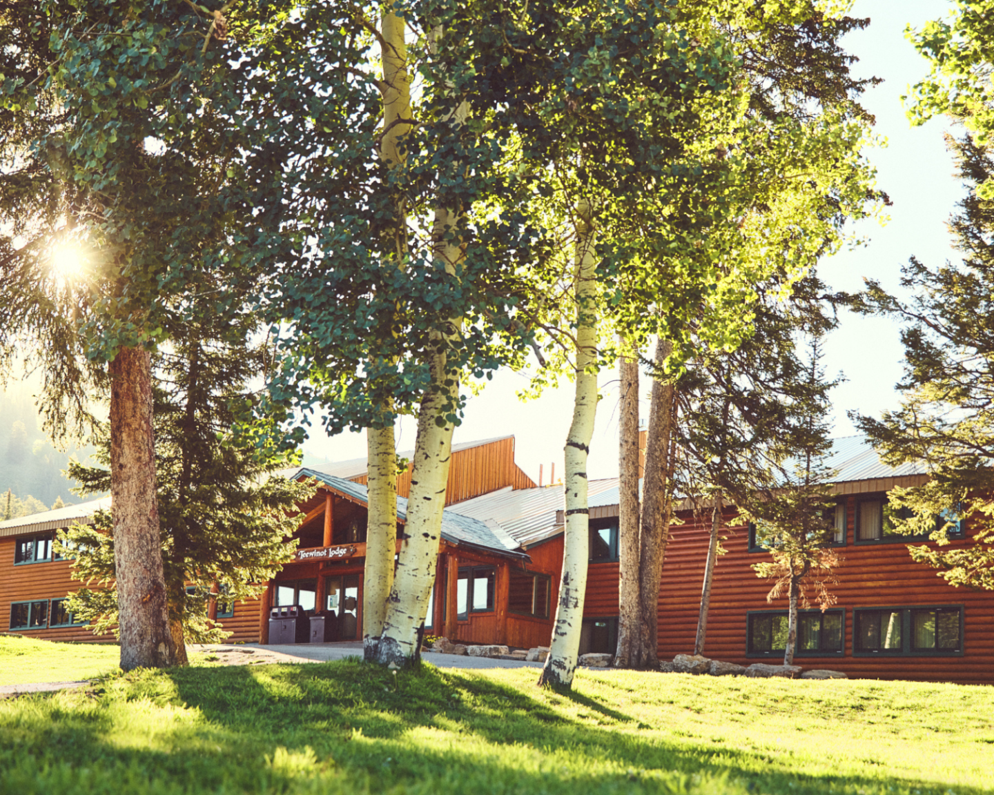 Rustic wooden building surrounded by tall trees in sunlight.