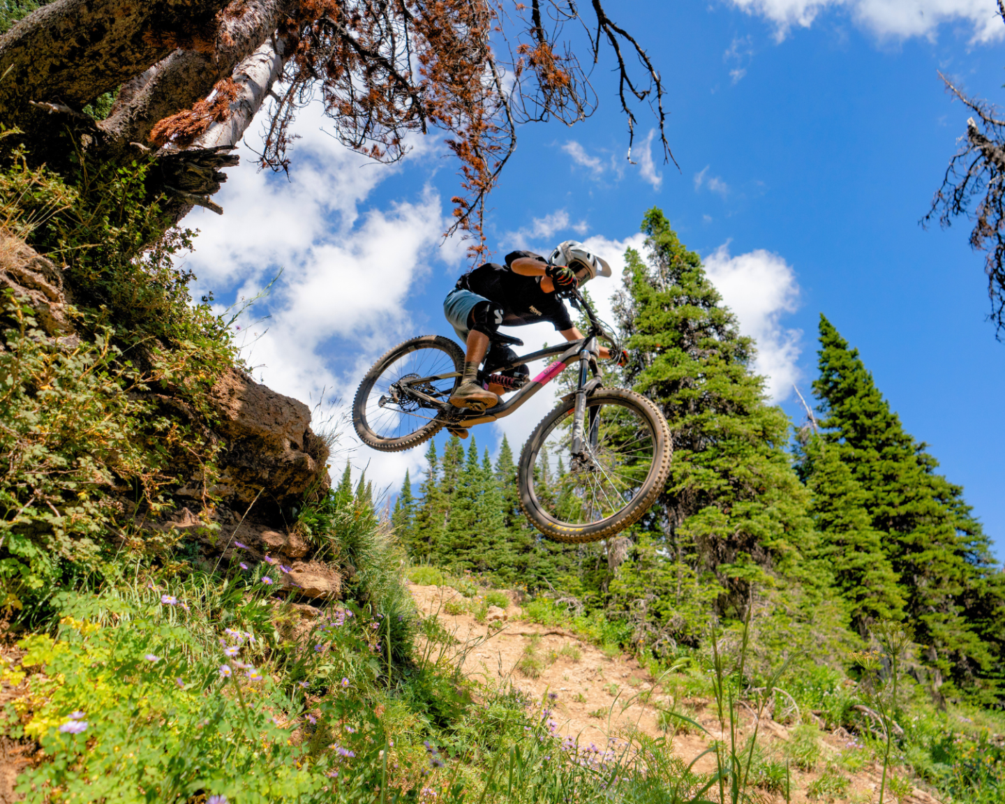 Mountain biker jumping off a trail with pine trees and blue sky.