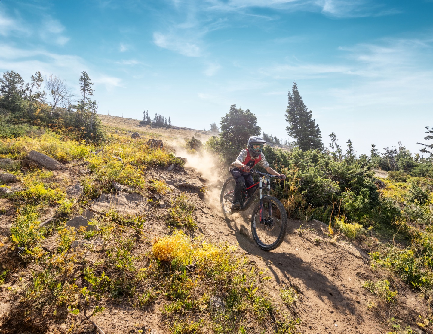 Mountain biker on a dirt trail under a clear blue sky with trees in the background.