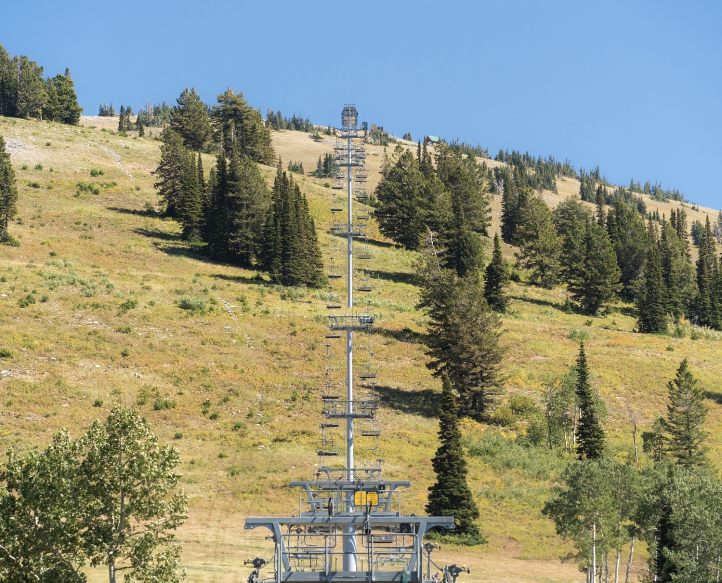 Ski lift ascending a grassy, tree-dotted hillside under a clear blue sky.