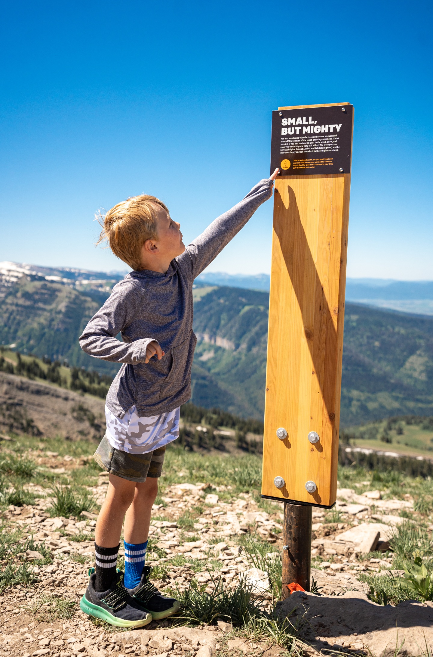 Child reaching for a sign on a mountain trail, clear blue sky.