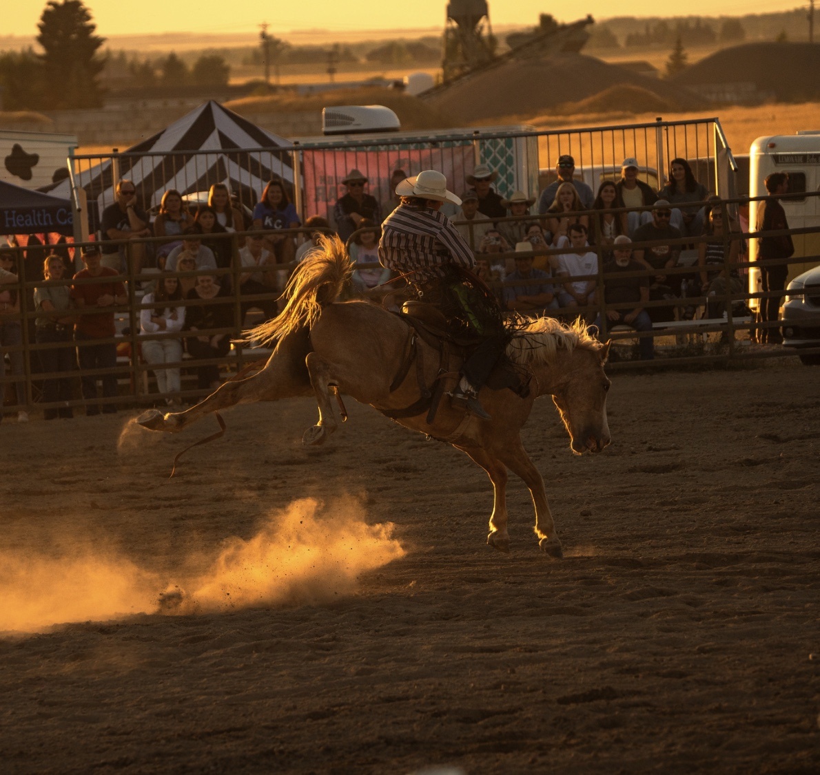 Rodeo rider on a bucking horse at sunset, with a crowd in the background.