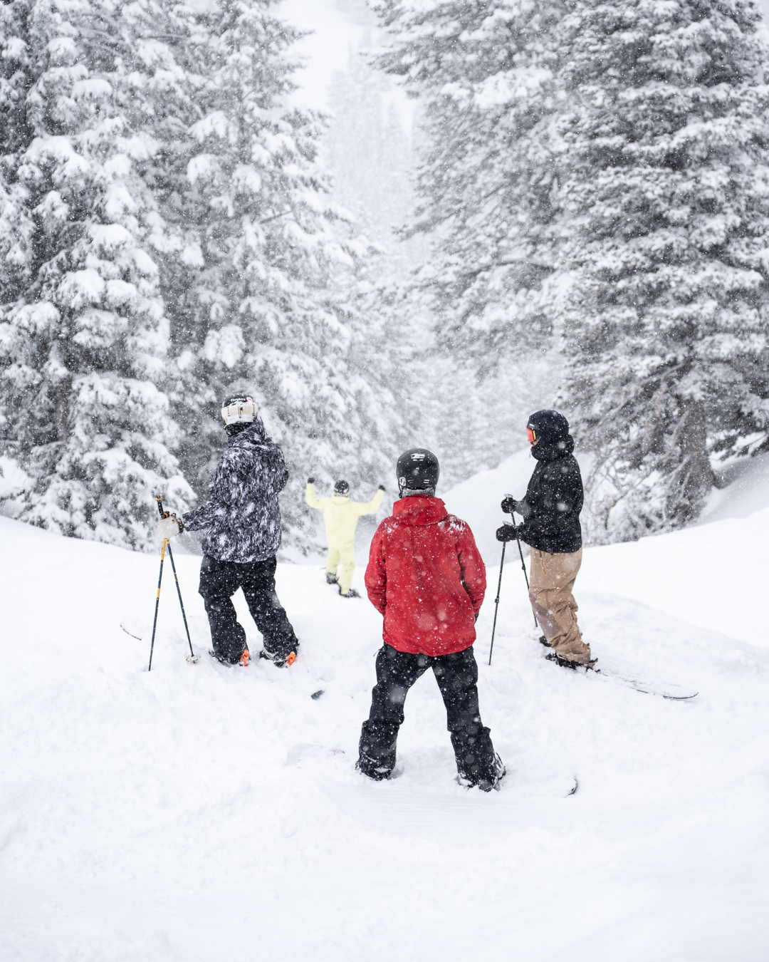 Skiers in snowy forest, wearing jackets and ski gear.