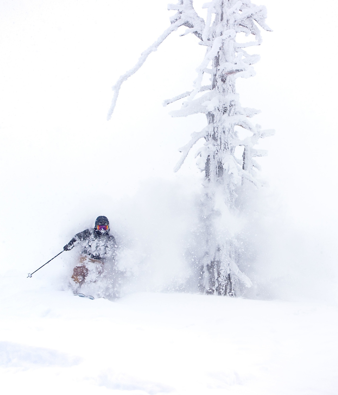 Skier in powder near a frosted tree at Grand Targhee Resort
