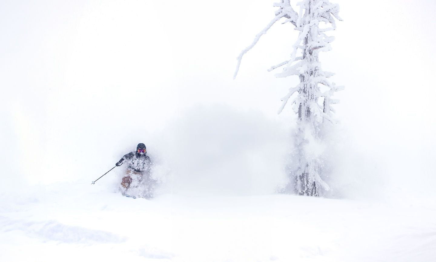 Skier in powder near a frosted tree at Grand Targhee Resort