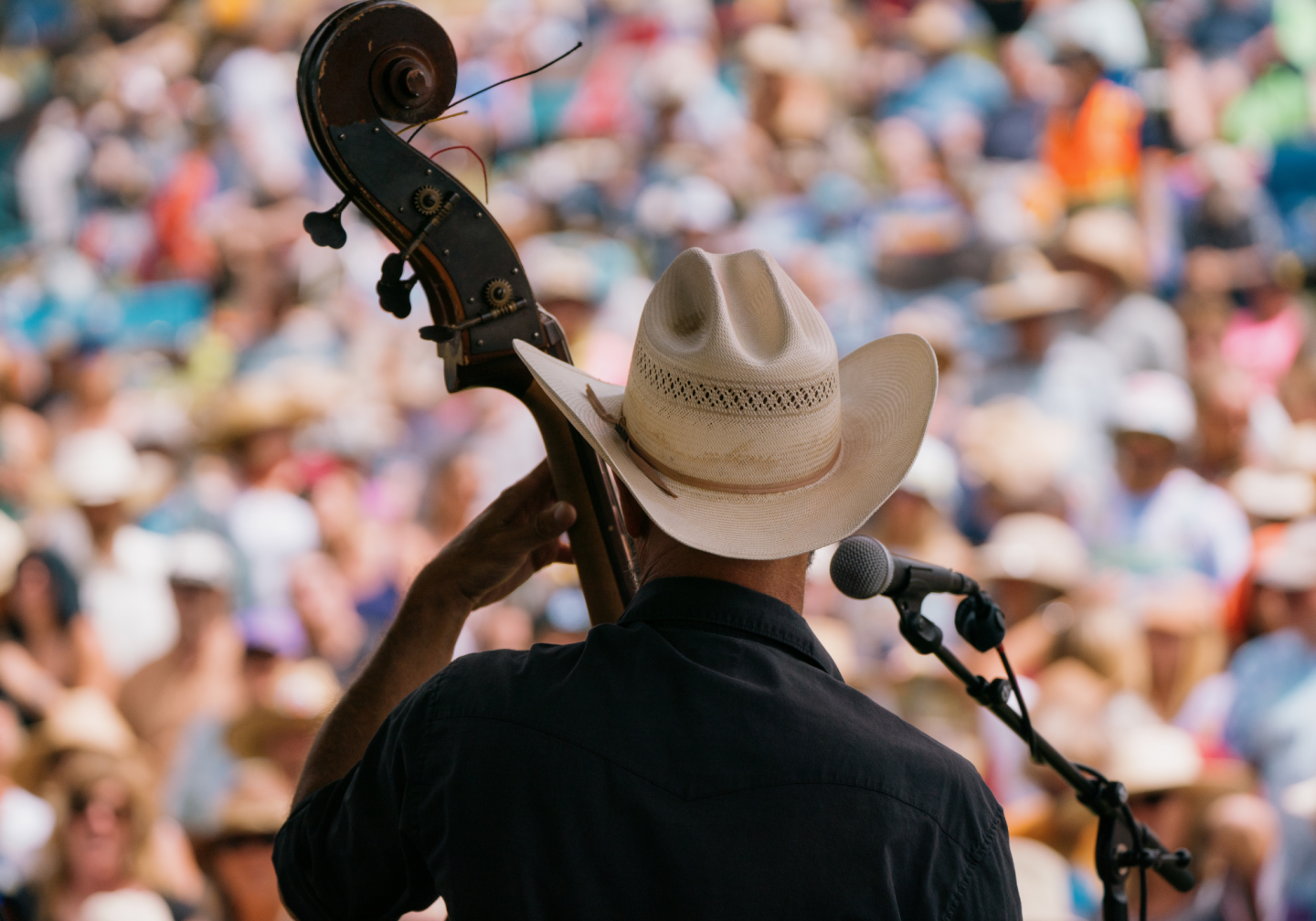 Musician in cowboy hat plays bass on stage, large crowd in background.