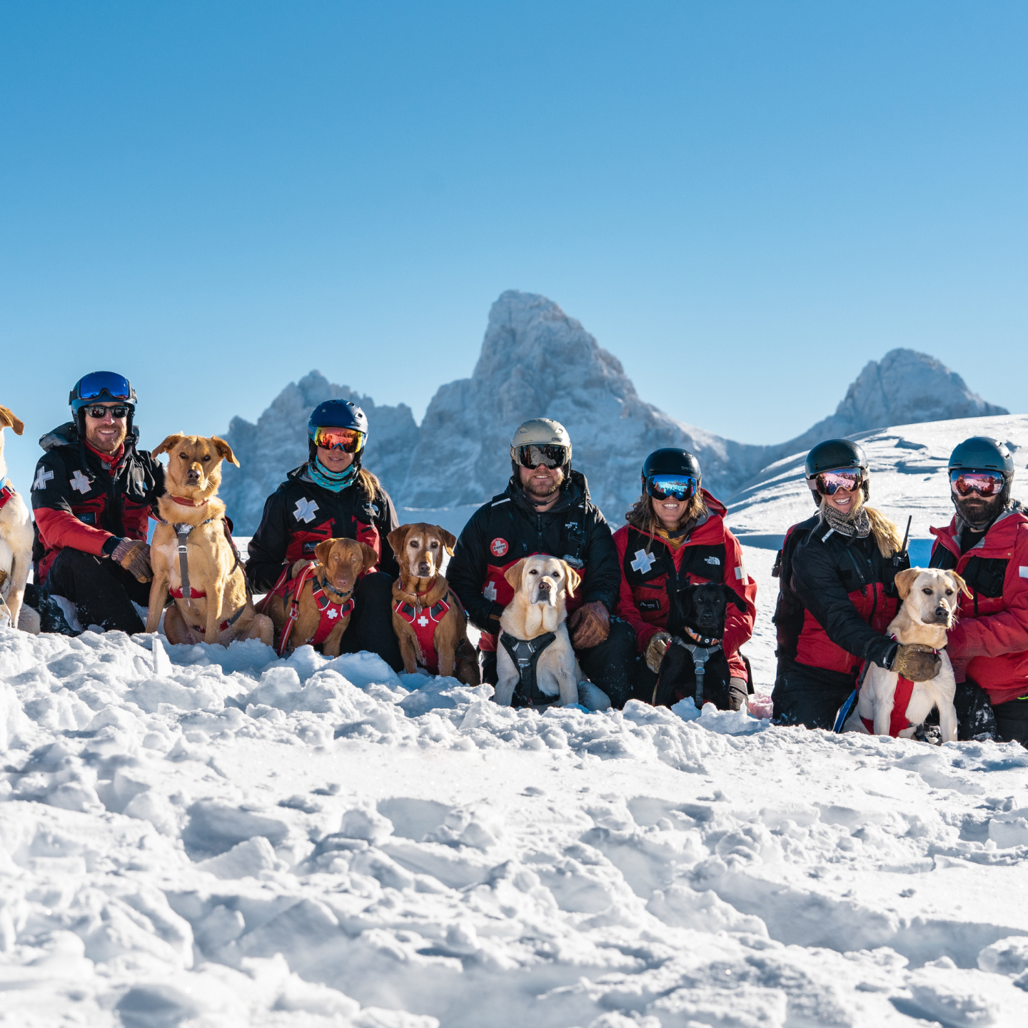 Rescue team with dogs on snowy mountain, clear blue sky.