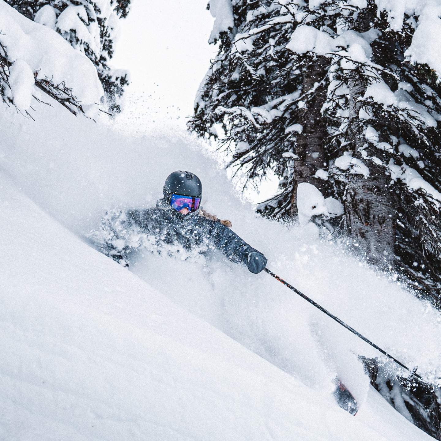 Skier navigating deep snow among snowy trees.