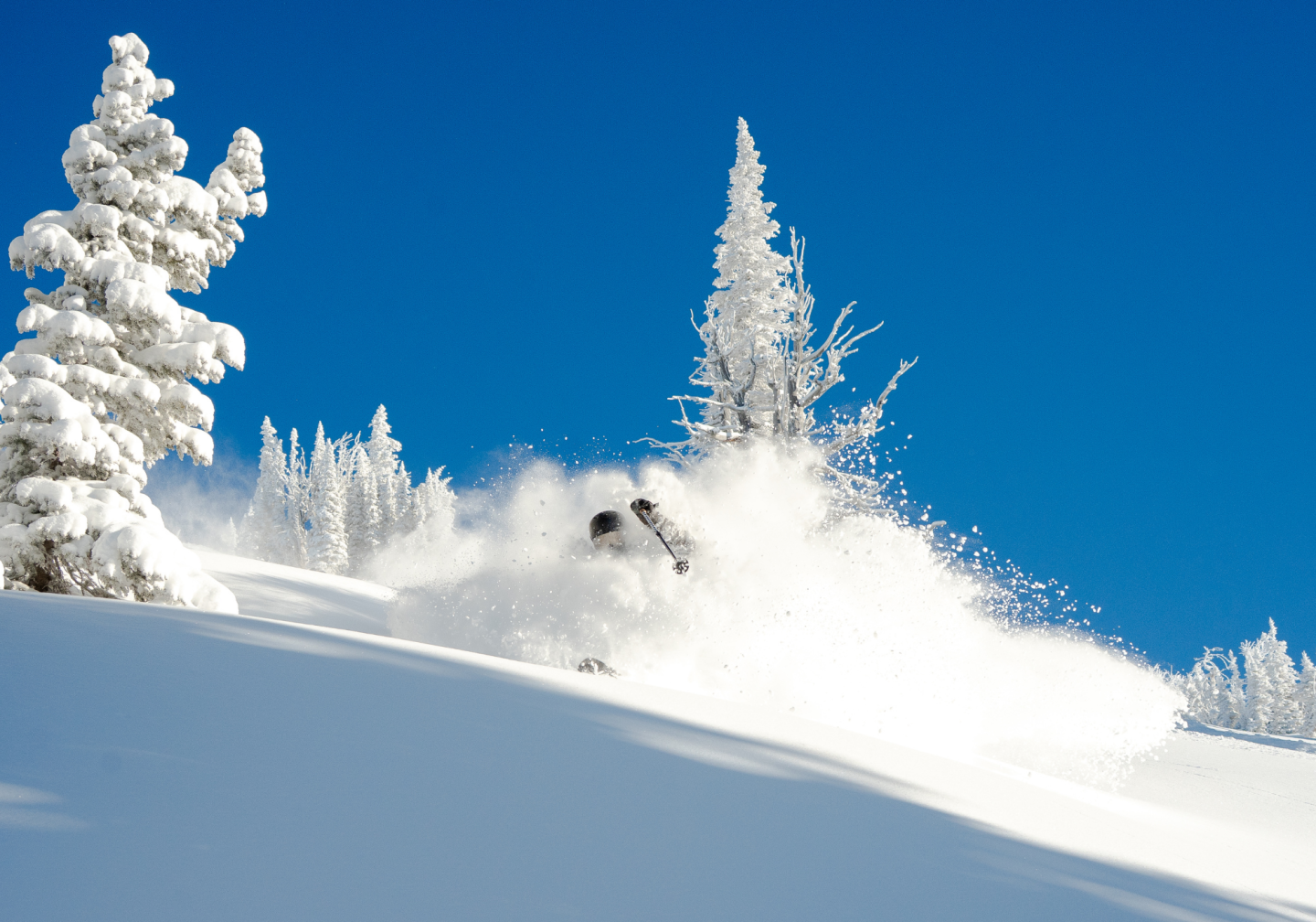 Snowboarder carving through powder under clear blue sky.