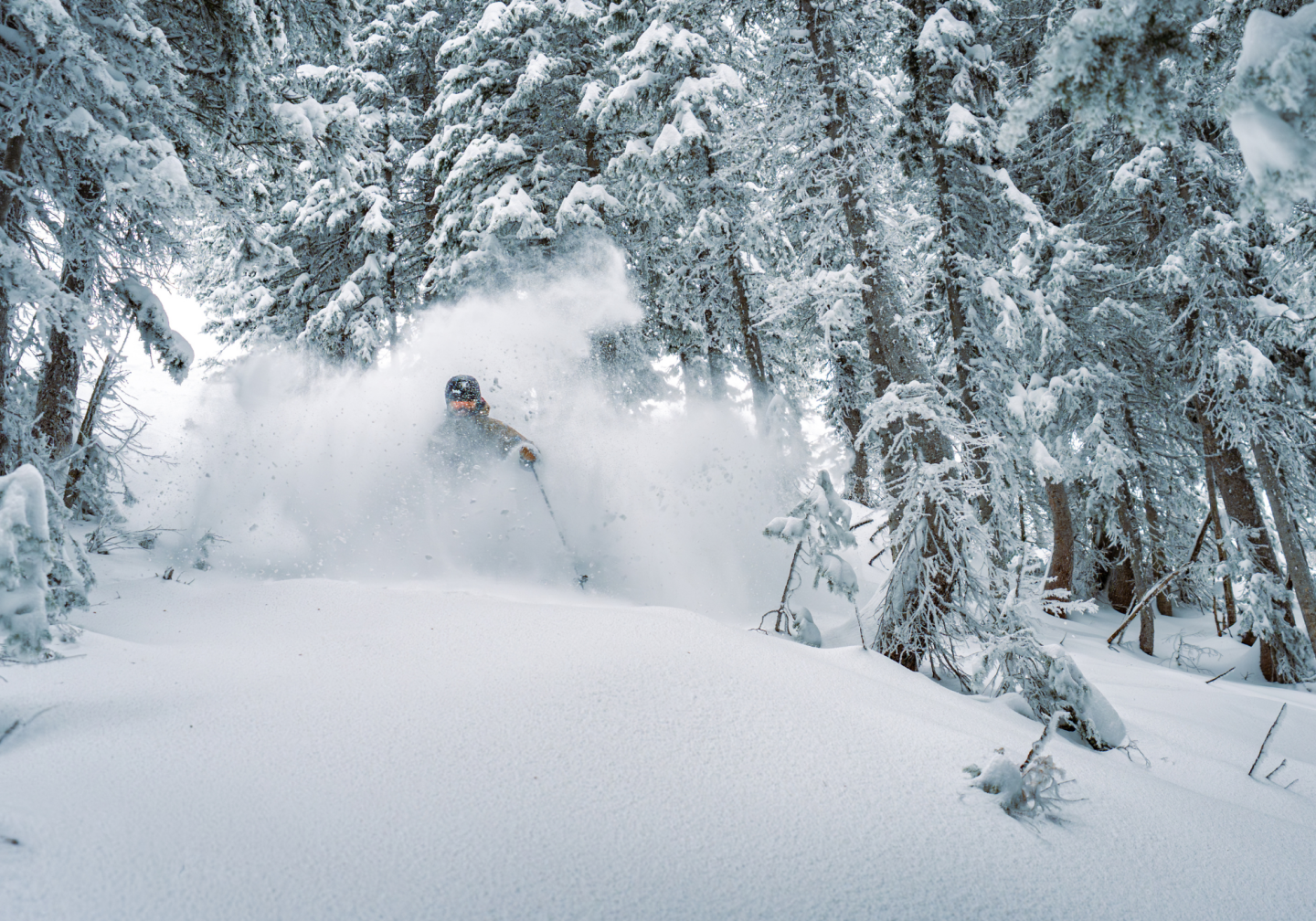Skier gliding through snowy forest, snow spraying around.