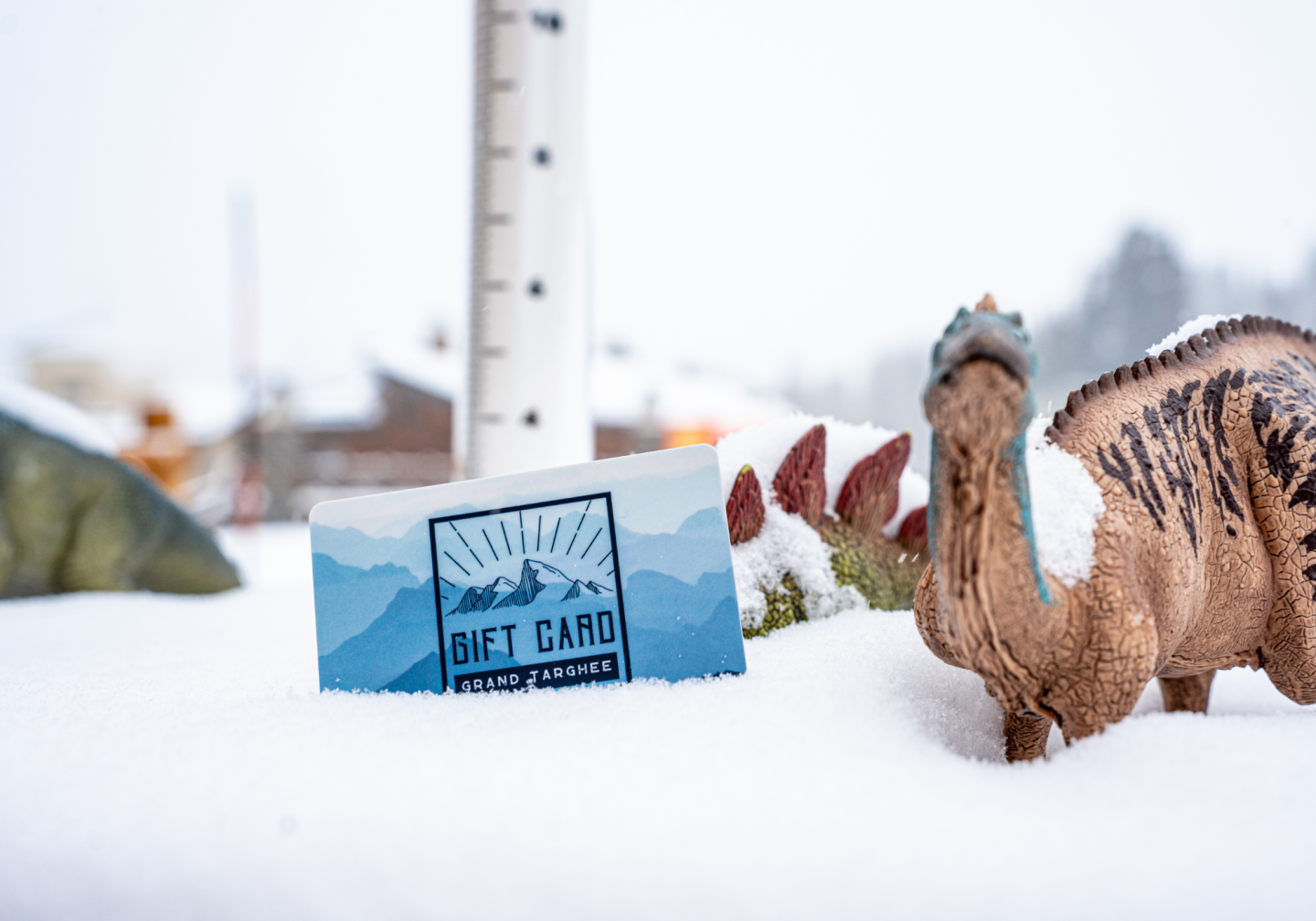 Toy dinosaurs in snow beside a gift card and measuring stick.