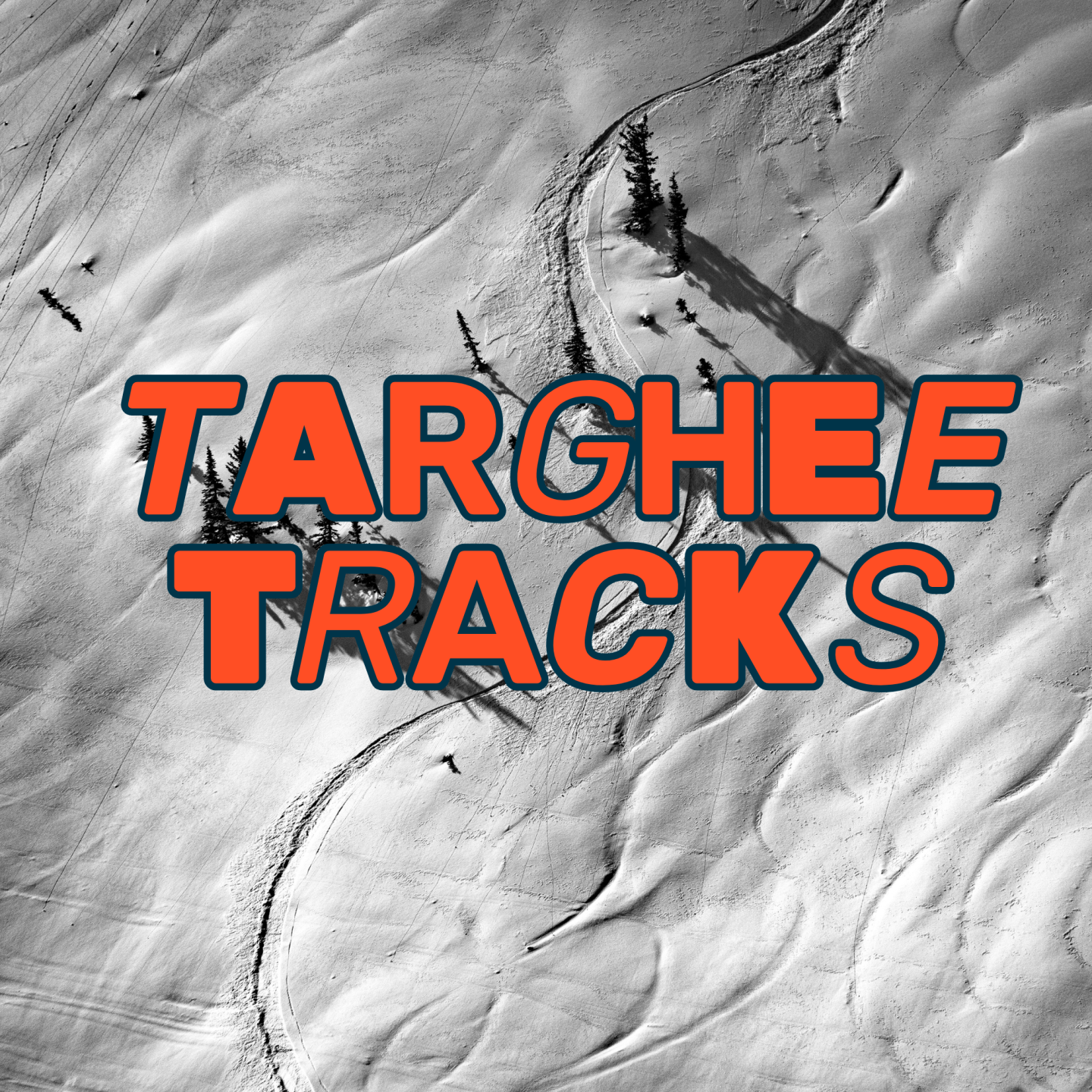 Targhee Tracks