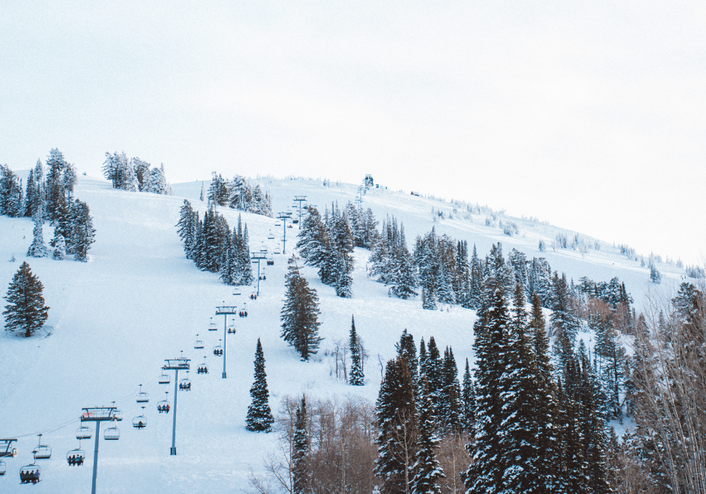 Snowy mountain with ski lifts and pine trees.
