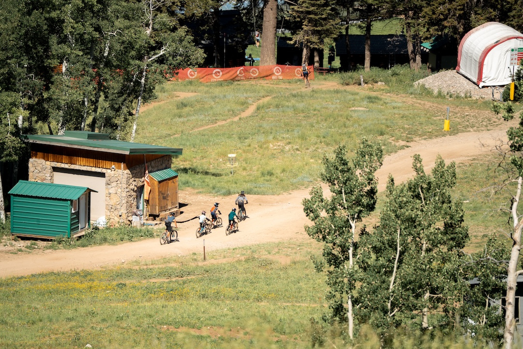 Cyclists riding on a dirt path through a grassy area with trees.