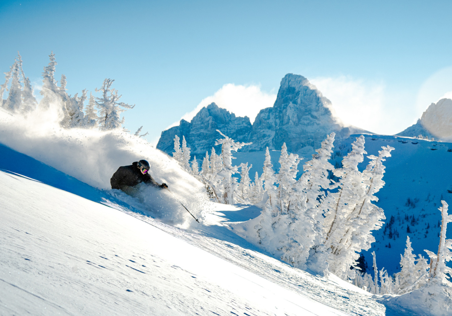 Skier carving down a snowy slope, with frosty trees and mountains in the background.