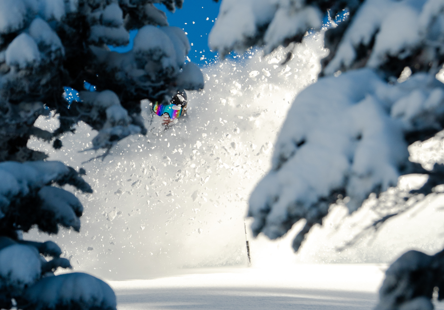 Snowboarder surrounded by snowy trees and flying snow.