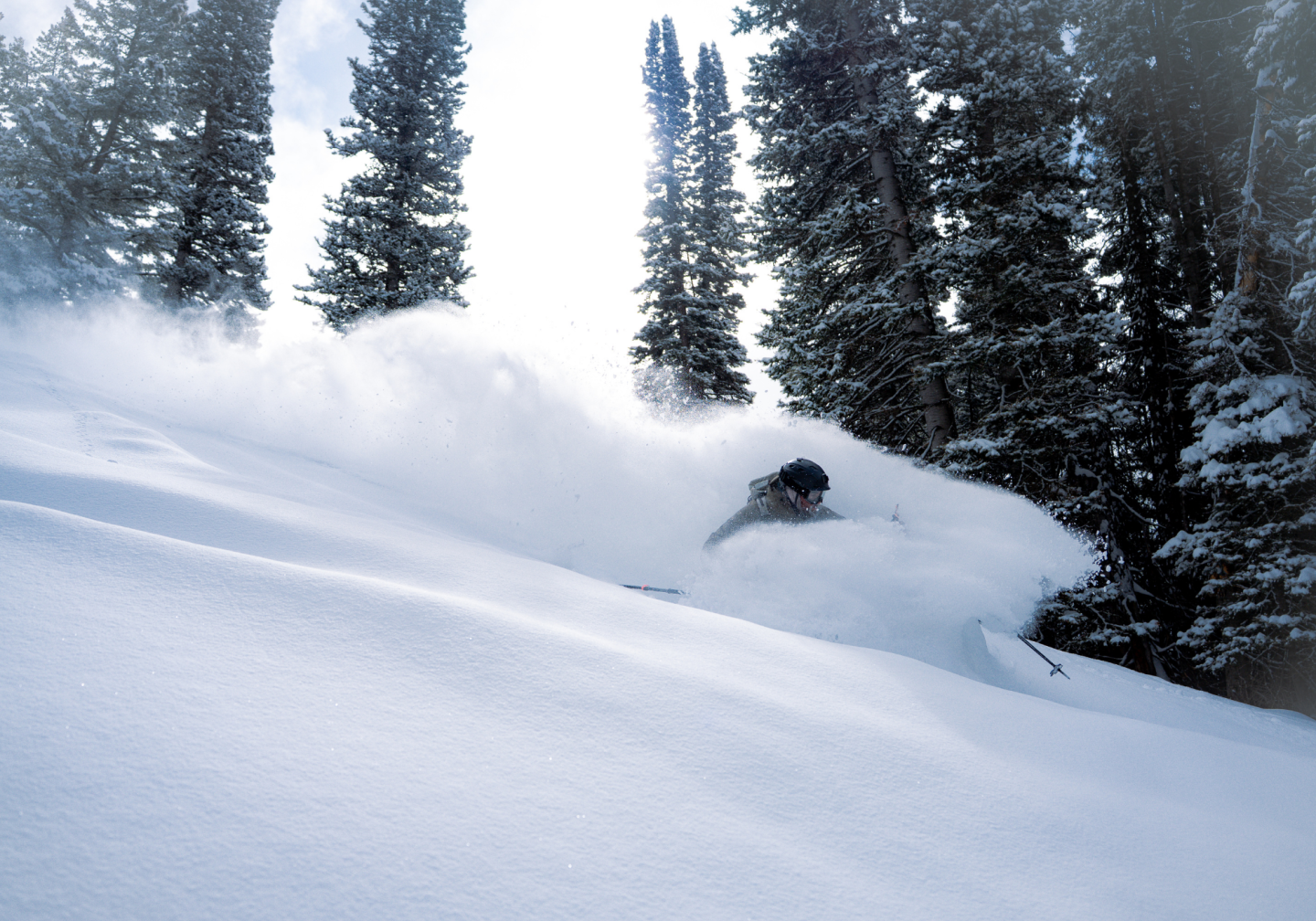 Skier gliding through deep snow among tall pine trees.